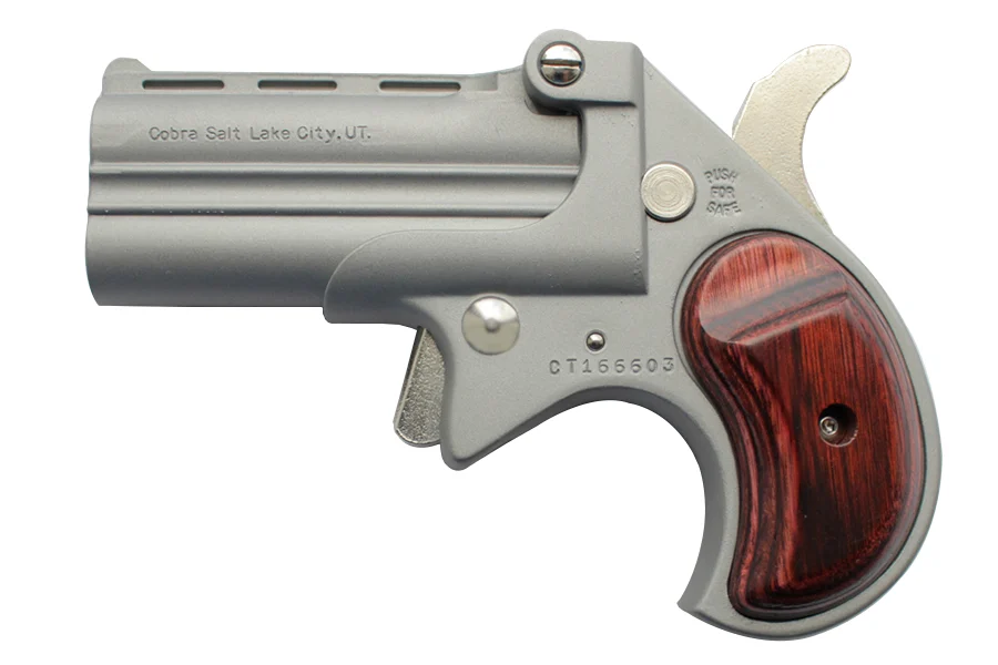 Big Bore 38 Special 9MM Derringer