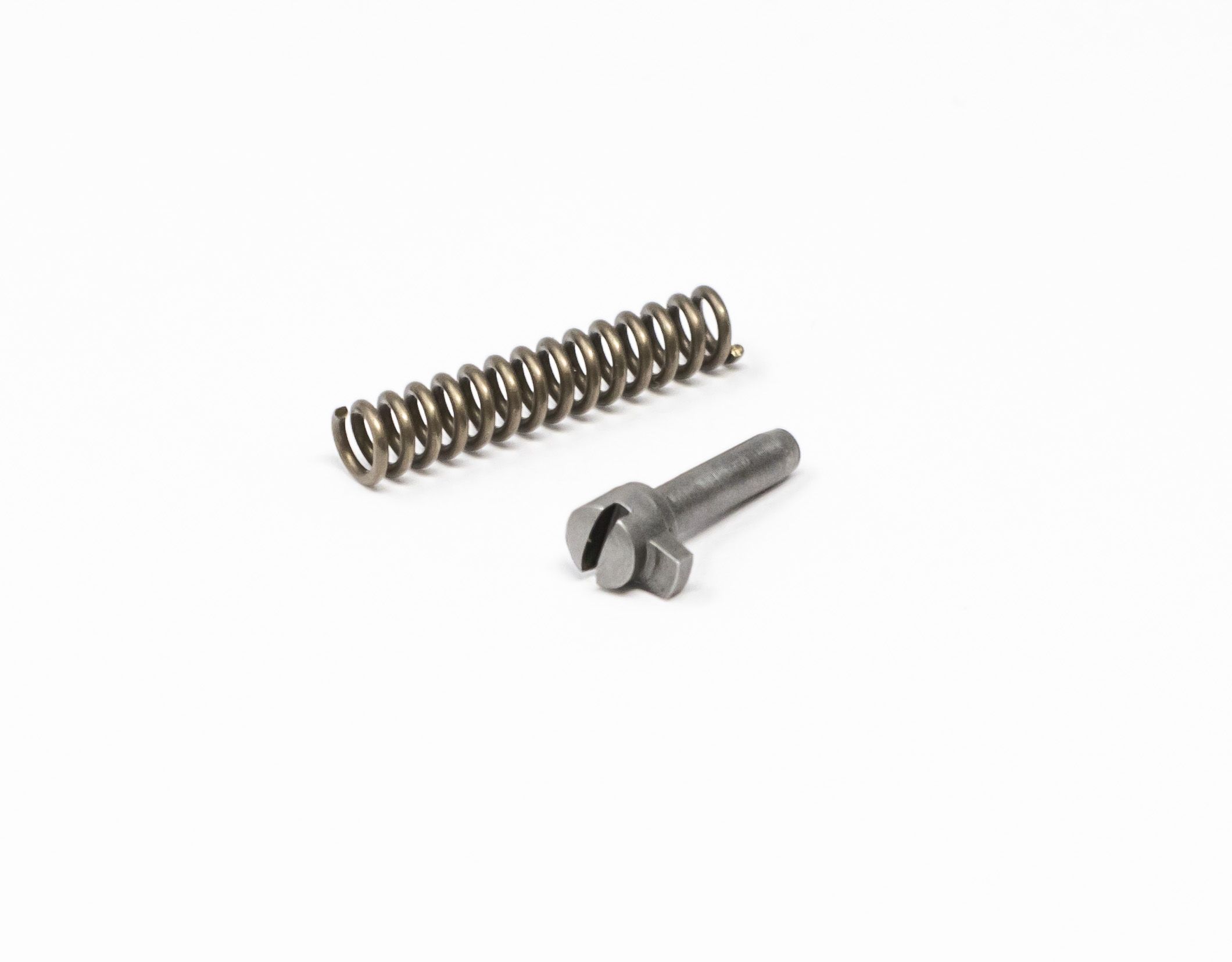 Magazine Catch Lock Kit - Spring and Pin Stainless