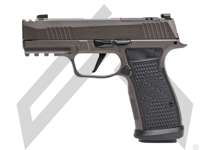 P365 Axg Legion 2