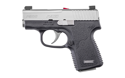 P380 380 ACP Pistol
