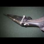 LE-AR 5.56mm Flat-Top Pistol with Free Float Rail - AR-15 Pistols - California Gun Shop