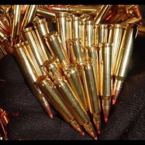 1000 .223 55gr Vmax New Premium Brass 5.56x45 223