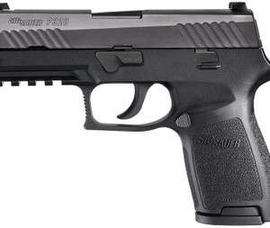 Sig Sauer P320 Nitron Compact 9mm 15rd 3.9" Pistol