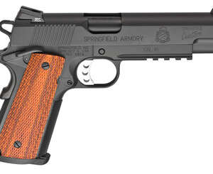1911 Professional Light Rail Handgun .45 ACP Black