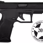 45 ACP Stainless - Pistols - California Gun Shop