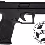 Hard Anodized Black 22 LR Black Polymer Frame 10-Round Non Manual Safety