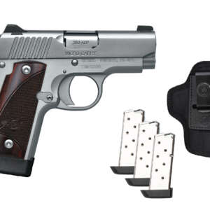 Micro 380 ACP Stainless Ready to Carry Package with Three Magazines and DeSantis Pro Stealth Holster