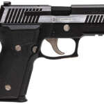 P320 Subcompact 9mm Centerfire Pistol with Night Sights - Firearms - California Gun Shop