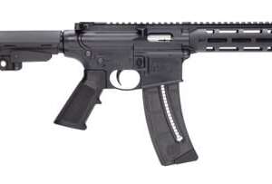 Smith and Wesson M&P15-22 Pistol .22 LR 8" Barrel 25-Rounds