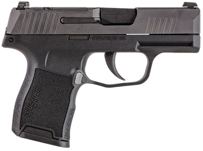 Sig Sauer P365 .380 ACP 3.1" Barrel 10-Rounds MS