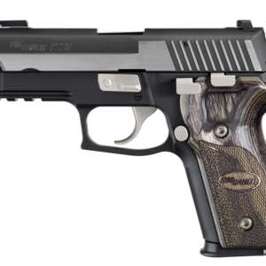P229 Equinox 40 SW Centerfire Pistol with Nickel Accents
