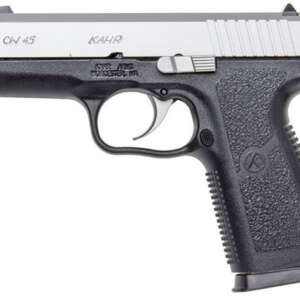 CW45 45ACP Stainless 6+1 Carry Conceal Pistol