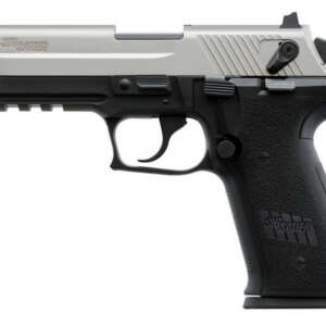Mosquito Two-Tone Stainless 22LR Rimfire Pistol with Rail