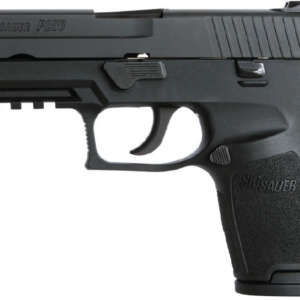 P250 Compact 40 S&W Centerfire Pistol with Night Sights