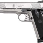 SW1911 45 ACP Stainless Centerfire Pistol