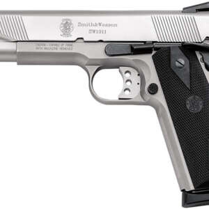SW1911 45 ACP Stainless Centerfire Pistol