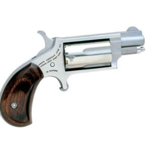 22 Magnum Mini-Revolver (1 1/8-inch Barrel) with 22LR Conversion Cylinder