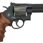 110 Engage Hunter XP 243 Win Bolt-Action Rifle with Bushnell Scope - Bolt-Action Rifles - California Gun Shop
