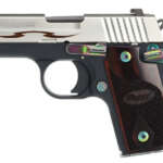 XDS 3.3 Single Stack 45ACP w/ Viridian E-Series Red Laser and Notebook Gun Case - Firearms - California Gun Shop