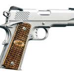Stainless Pro Raptor II 45 ACP 1911 Pistol