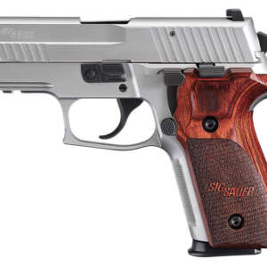 P229 Elite Stainless 9mm Centerfire Pistol with Night Sights