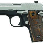 XDS 9mm 3.3 Viridian Laser Package - Firearms - California Gun Shop