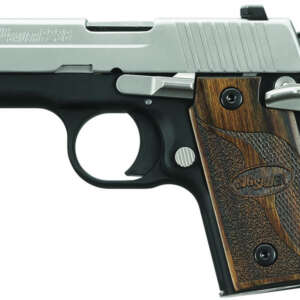 P238 SAS 380 ACP Centerfire Pistol with Night Sights