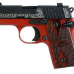 Springfield Custom Shop 1911-A1 Professional 45ACP - No Rail - Firearms - California Gun Shop
