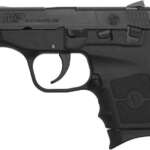 MP Bodyguard 380 Centerfire Carry Conceal Pistol