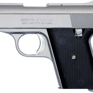 CA380 380 ACP Satin Nickel Carry Conceal Pistol