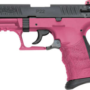 P22 22LR with Wildberry Frame