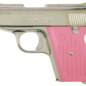 CA380 380 ACP Carry Conceal with Chrome Finish