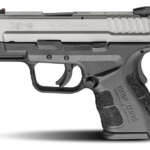 45 Colt / 410 GA Matte Stainless 2 in. - Revolvers - California Gun Shop