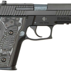 P229 Extreme 9mm Centerfire Pistol