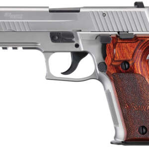 P226 Elite Stainless 9mm Centerfire Pistol with Night Sights