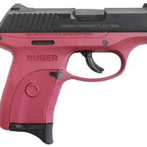 LC9s 9mm Centerfire Pistol with Raspberry Frame