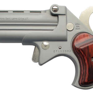 Big Bore 38 Special Derringer