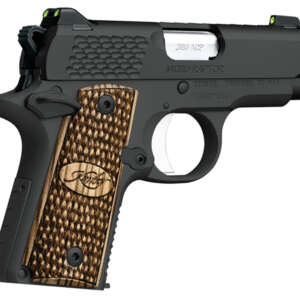 Micro Raptor 380 ACP Carry Conceal Pistol