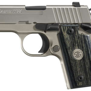 P238 HD Nickel 380 ACP Carry Conceal Pistol with Night Sights