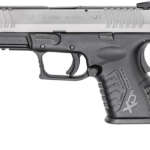 Desert Eagle .44 Mag Mark XIX Titanium Gold with Tiger Stripes - Firearms - California Gun Shop