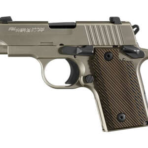 P238 Nickel 380 ACP Carry Conceal Pistol with Night Sights