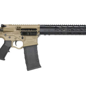 Omni Hybrid Maxx 300 AAC Blackout Limited Edition Flat Dark Earth (FDE) with Key