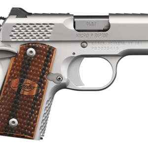 Micro 9 Stainless Raptor 9mm with Night Sights