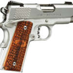 Stainless Ultra Raptor II 45 ACP with Night Sights