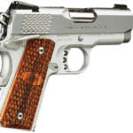Stainless Ultra Raptor II 9mm with Night Sights