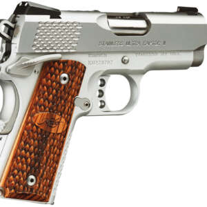 Stainless Ultra Raptor II 9mm with Night Sights