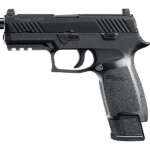 P226 9mm Centerfire Pistol with Night Sights - Firearms - California Gun Shop
