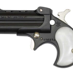 C22 22 Mag Derringer with Black Finish