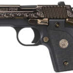 ROSSI RIO BRAVO Rifles Lever Action - Lever Action - California Gun Shop