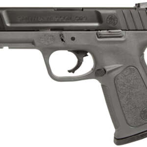 SD9 9mm Striker-Fired Pistol with Gray Frame